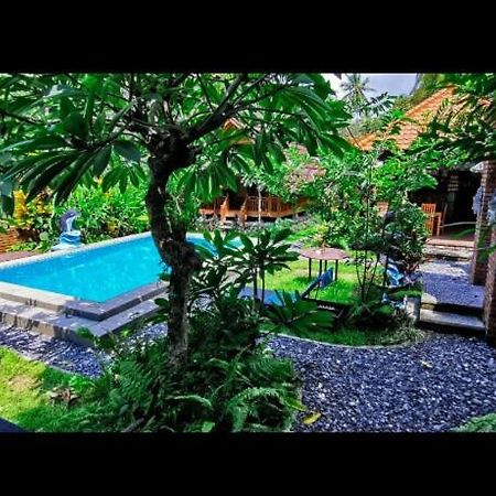 Halumba Eco Villa Bali Tejakula Exteriér fotografie