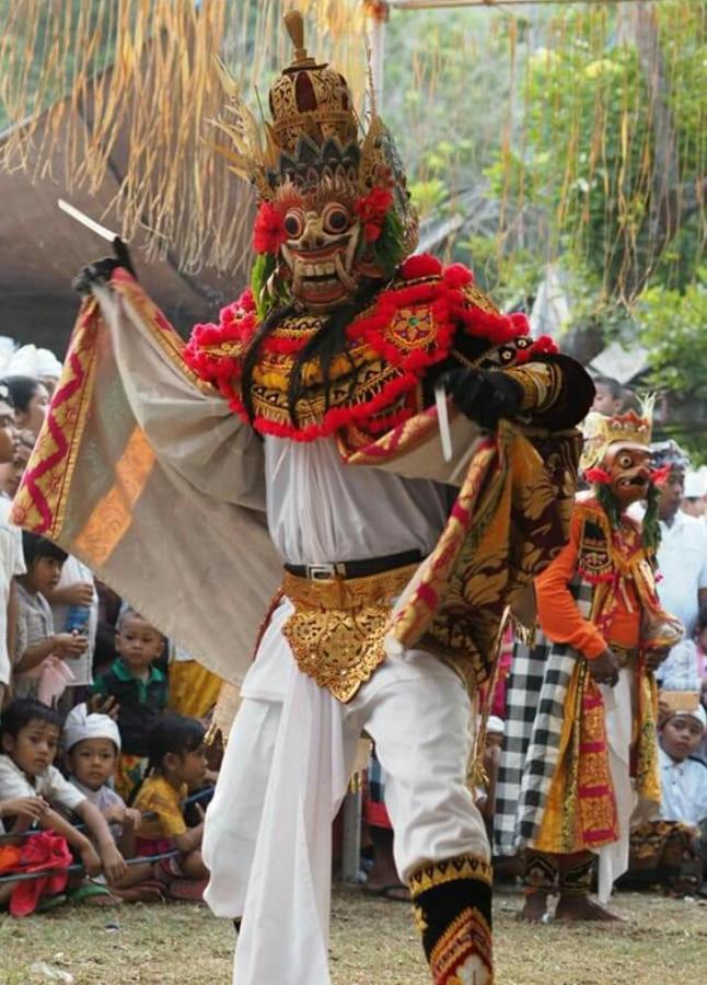 Halumba Eco Villa Bali Tejakula Exteriér fotografie